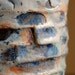 Shino Cup Mendelssohn ( Ceramic Stoneware Pottery )