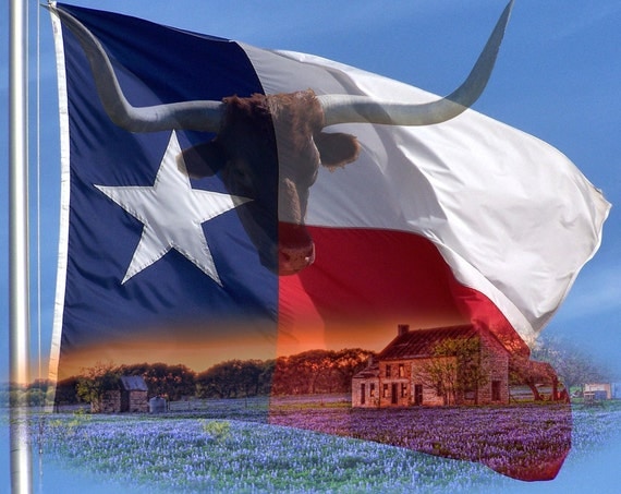 Items similar to Classic Texas Montage, Flag, Longhorn,