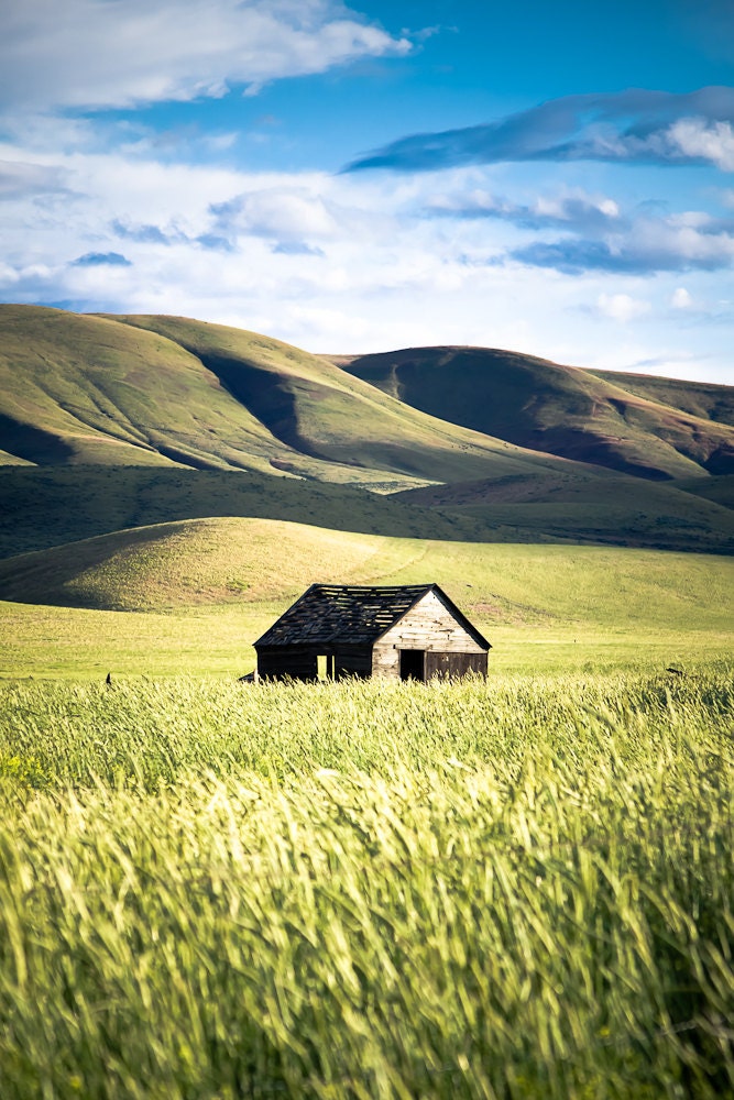 Barn in a Field 8 x10 Photography Art Print