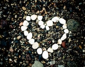 Ocean Love- Shell heart