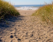 Walk to the Ocean- 8 x 10 Photography- Footprints on the sand, pathway, remembering summer, ocean dreams