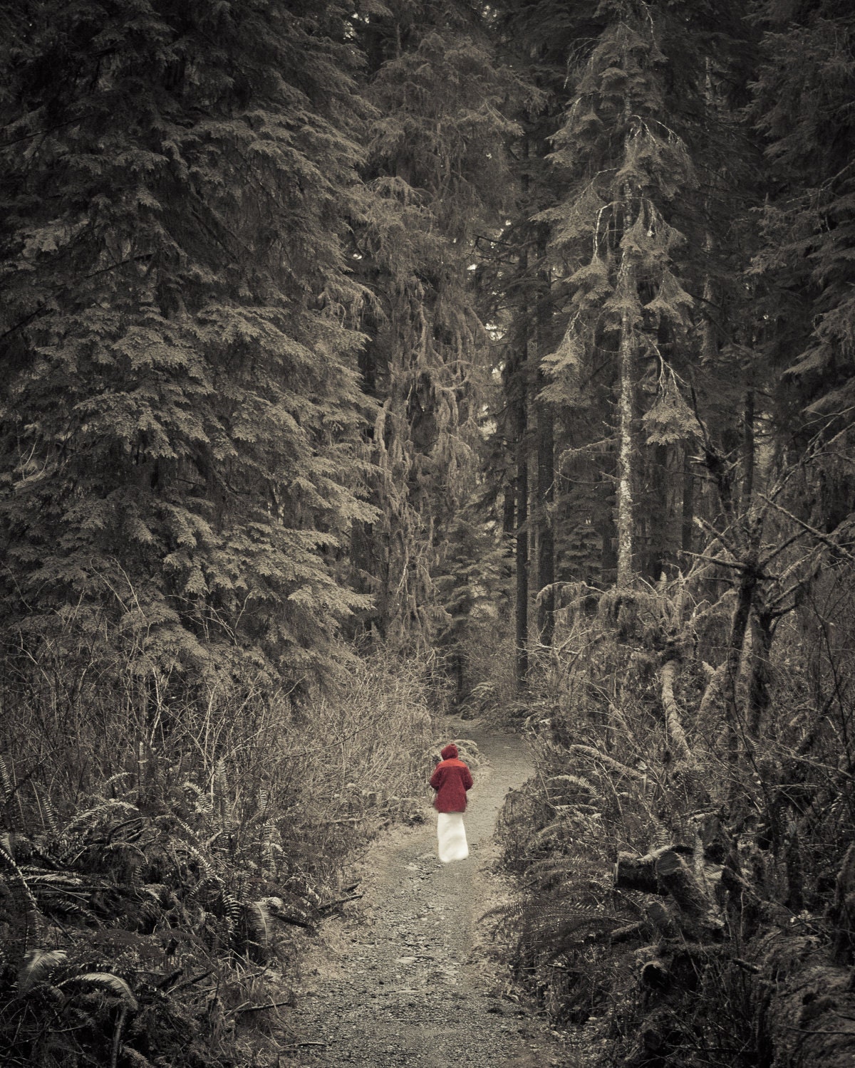 Little Red Riding Hood on Path in Forest 8 x10 Photography