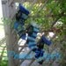 Christmas Stocking Peacock Triplets Christmas Stockings
