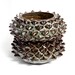Stoneware Double Pine Bowl - 20% OFF