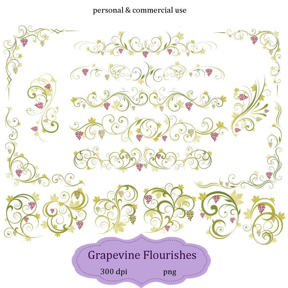 Grapevine Clipart