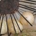 old rusty, crusty wire basket---cottage chic---shabby chic---rust