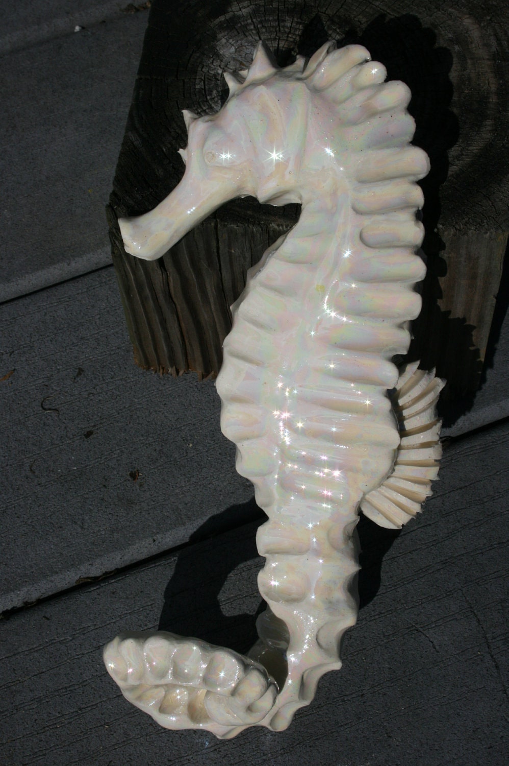 seahorse clay