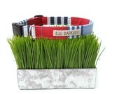 Dog collar red, white and blue stripe...The "Regetta"...Any size...