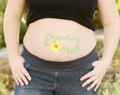 Fun and Unique "Expecting AGAIN" Baby Bump Pregnancy Sticker