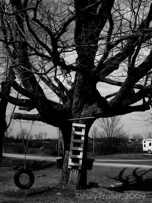 The Tree That Once Was - 4x6 Print