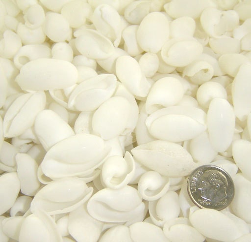 1 Ounce White Bullet Bubble Shells for Crafting