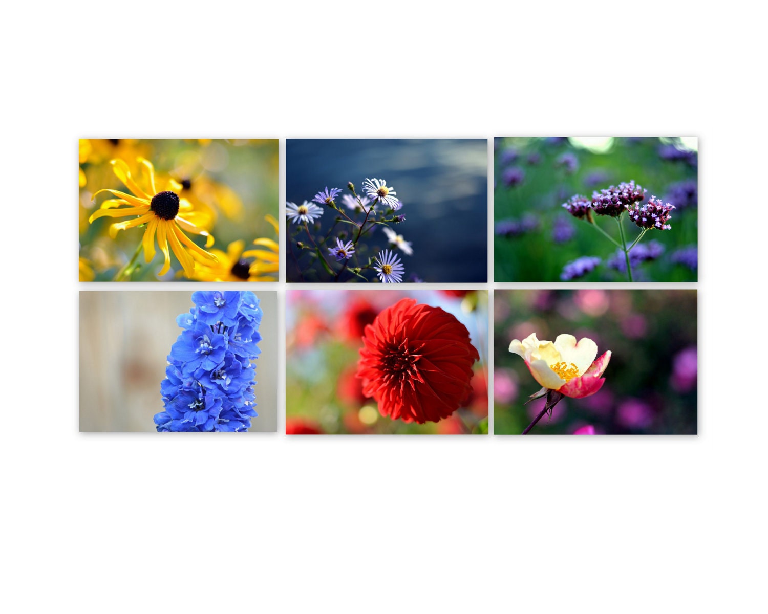 5x7 Flower Photo Set Six Bright Flower Photographs Colorful Modern Home Decor Sale 50% off