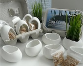 Porcelain Egg Planters, Wheat Grass Kit, Egg Sprouts Set of 6