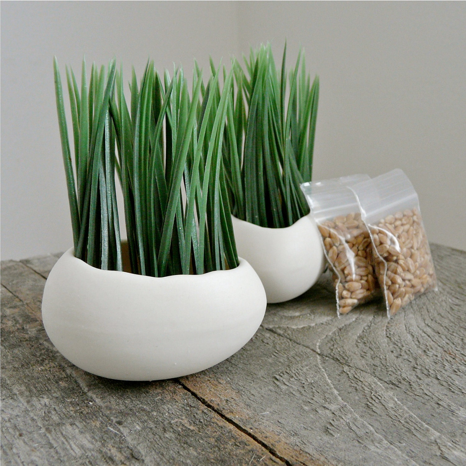 Porcelain Egg Planters, Egg Sprouts Set of 2, Wheat Grass Kit - RevisionsDesign