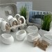 Porcelain Egg Planters, Wheat Grass Kit, Egg Sprouts Set of 6