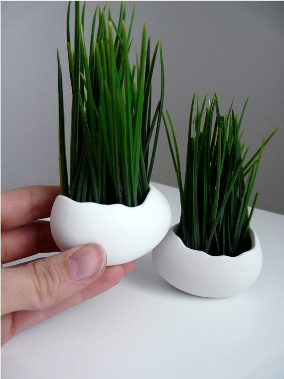 Porcelain Egg Planters, Wheat Grass Kit, Egg Sprouts Set of 2