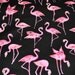 Back in Stock - Blank Quilting - Pink Flamingos