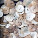 Paris Photo - Vintage Buttons at Paris Flea Market, Fine Art Photograph, Vintage Style, Home Decor