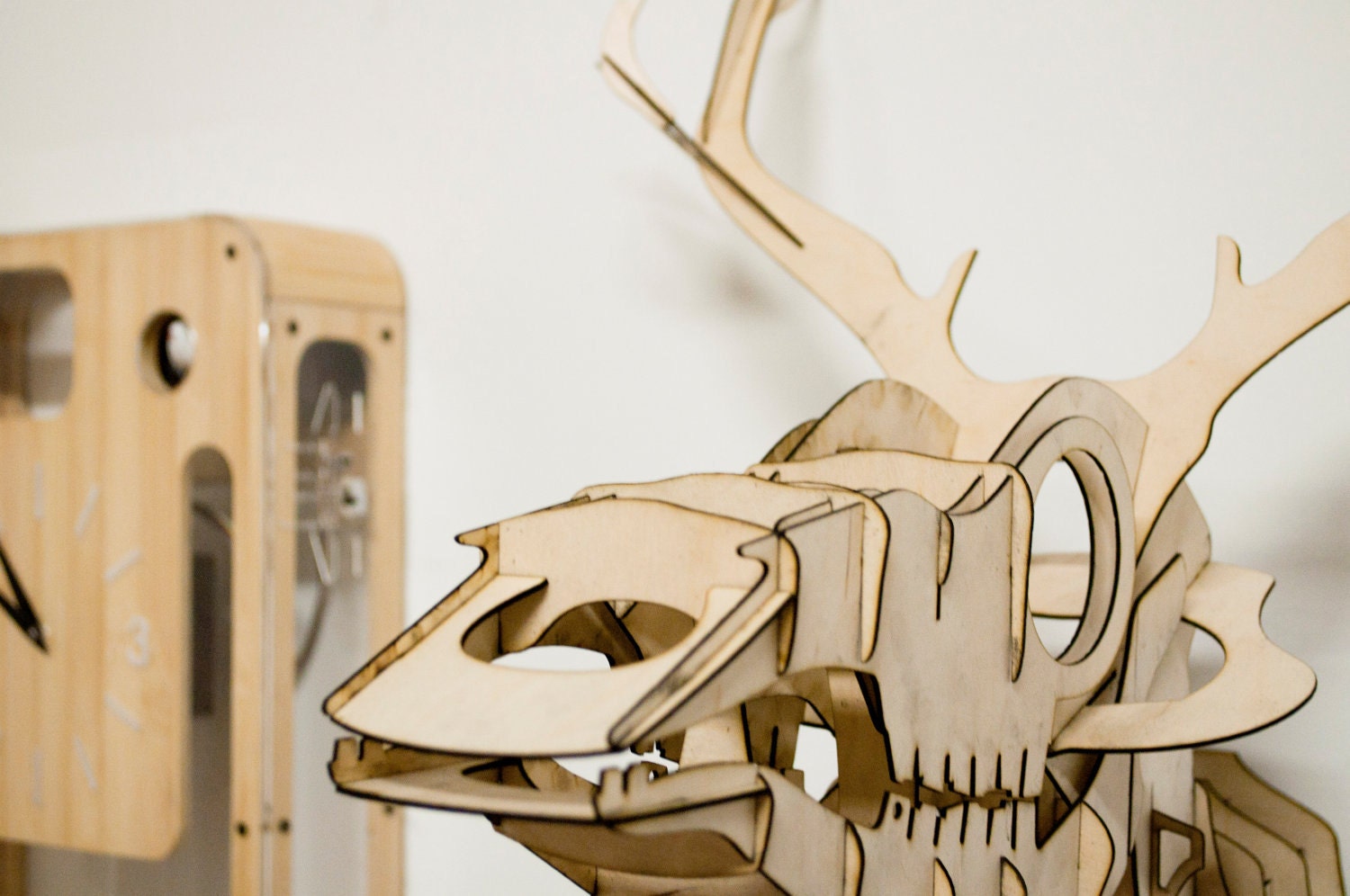 Goldfuss - plywood taxidermy skull deer trophy