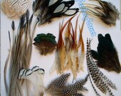 SALE natural 80 FEATHERS sampler loose 2'' to 9'' long for hair extensions, Grizzly, Earrings, Jewelry and Accessories 2
