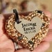 SAMPLE - medium Bird Seed favors - hearts, personalized, eco friendly, birdseed wedding favor, love birds
