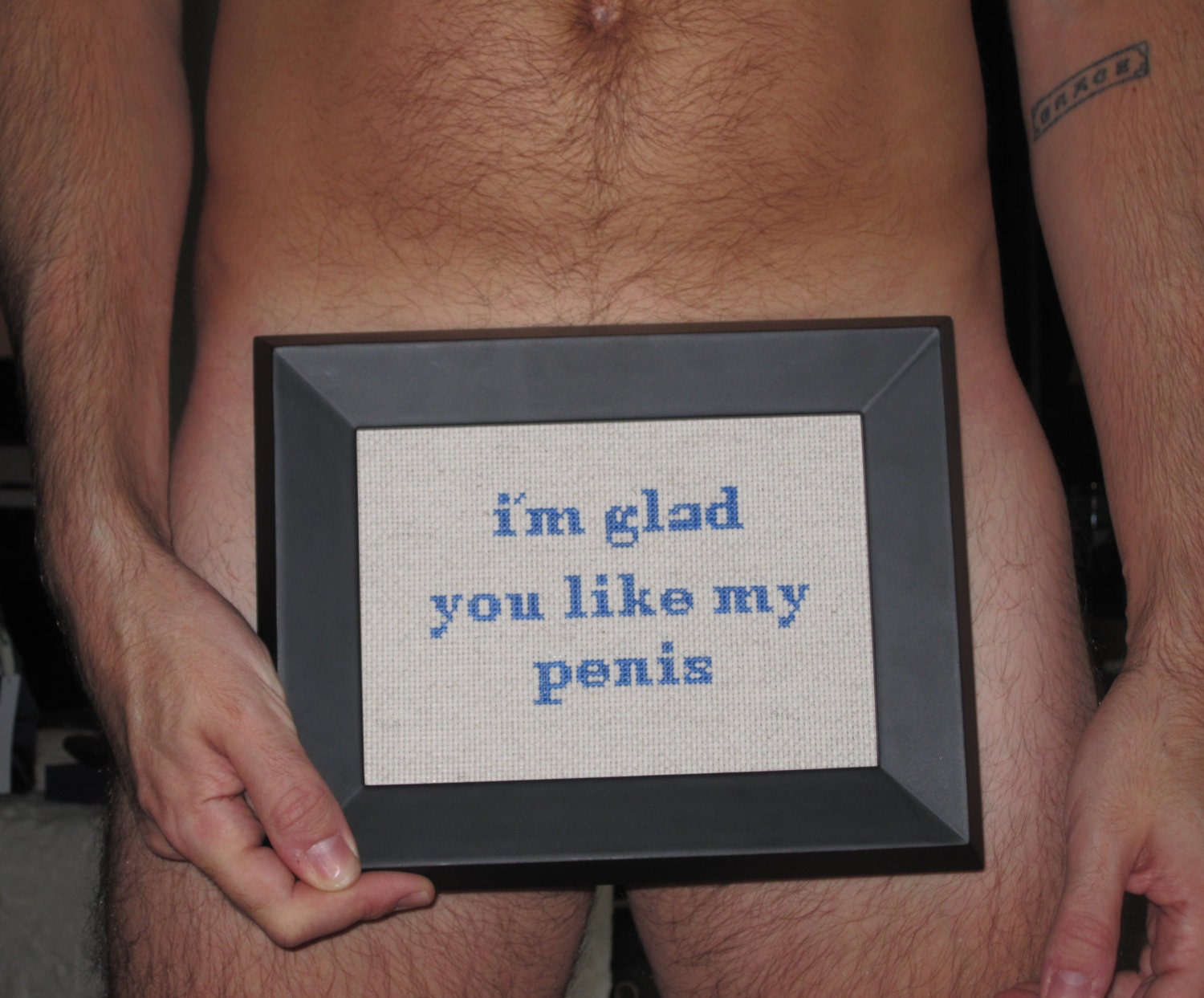 I'm Glad You Like My Penis cross stitch