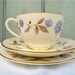 RESERVED FOR FIONA English Tea cup Trio Floral Poppy Royal Worcester