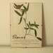 CUSTOM LISTING for Rebecca- Pressed Flowers- Red Clover art without Frame (3)