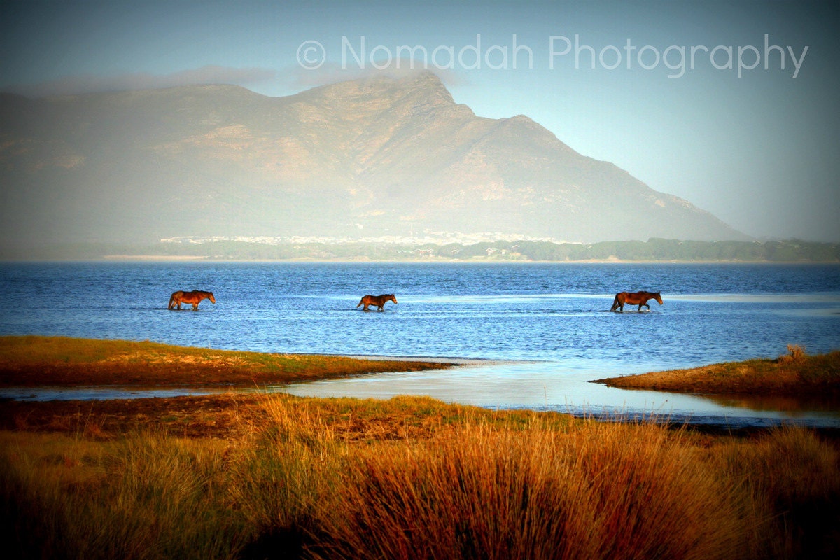 Wild horses, Landscape phototography, Mountains, lake, water, river, blue and orange, South Africa 13 x 19 - NomadahPhotography
