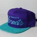 Custom Charlotte Hornets Strapback -- Teal Suede Brim