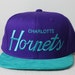 Custom Charlotte Hornets Strapback -- Teal Suede Brim