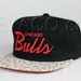 Custom Chicago Bulls Strapback, Leather Leopard Print, Red Lambskin Suede