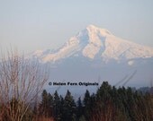 Mount Hood, Oregon - 8 X 10 Dry Mounted Print