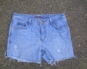 The Cierra Shorts