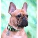 Pet Tags - Dog Tag - Pet ID Tag - Collar Tag - Hand Cast Pewter - Flower