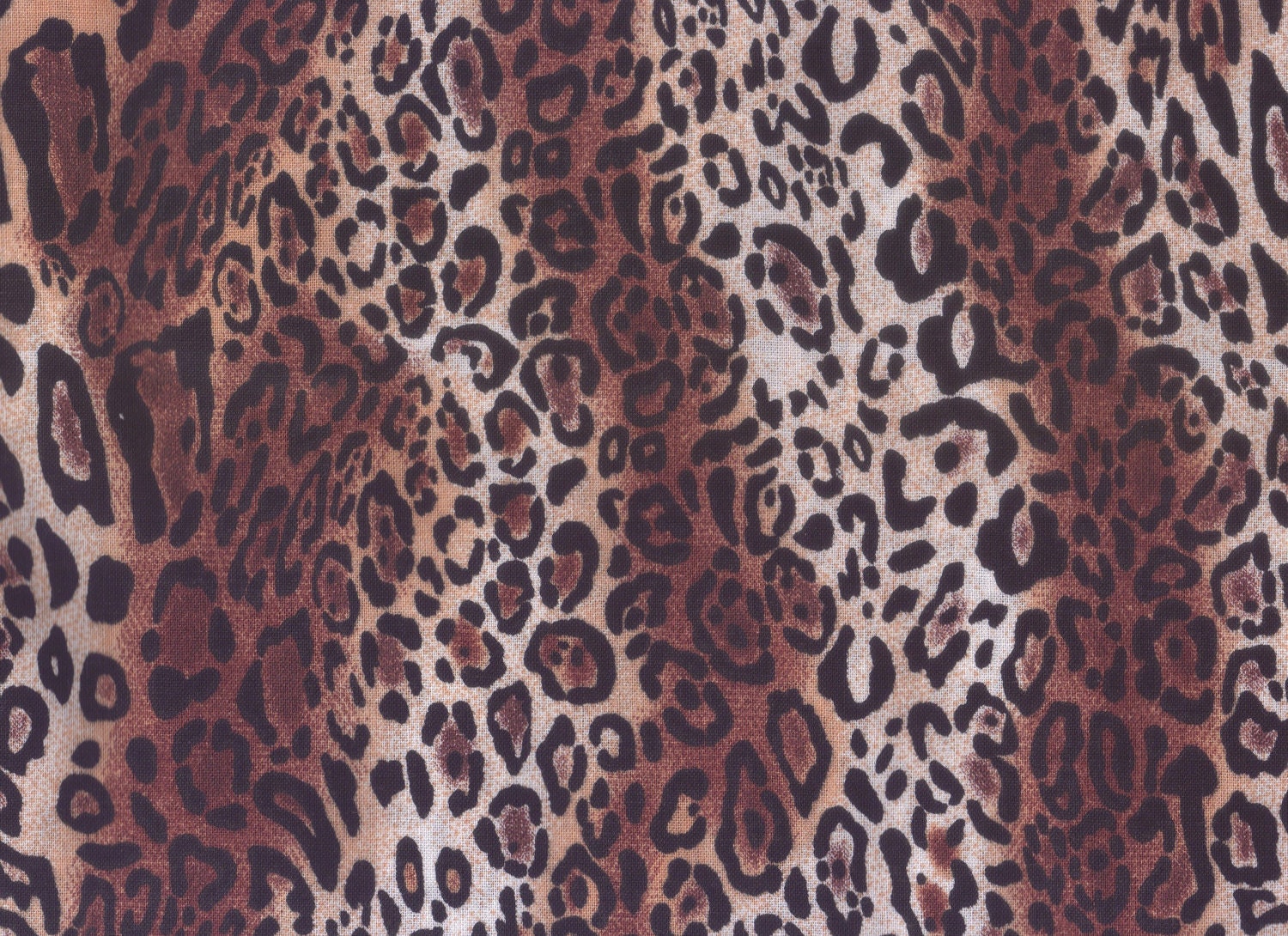 cheetah print curtains