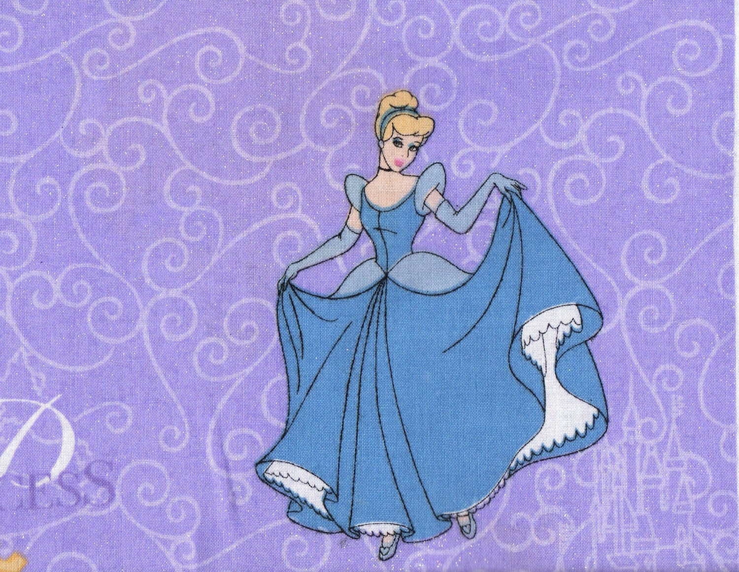 Cinderella Fabric