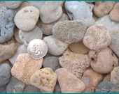 Medium Flat Beach Stones - Florida - under 10 -  Holiday SALE