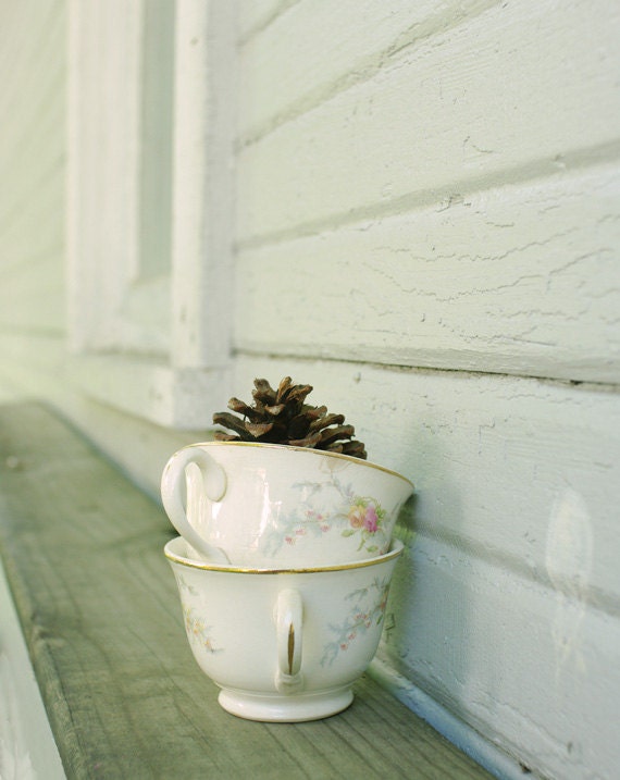 Winter Teacup Photograph - Pine Cone Tea - 8x10 print, vintage tea cups, rustic decor, soft and cozy, efpteam, fpoe - ErinBphoto