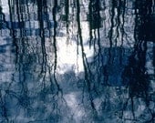 Trees, Reflections, Fernbank Forest, Atlanta, GA