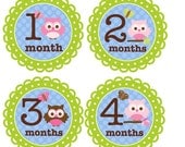 Baby Girl Monthly Onesie Stickers for New Mom...Pretty Owls...Favorite Baby Shower Gift