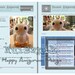 Amigurumi Crochet Pattern : Baby Snowy Owl (PDF file)