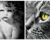 Black and White Angel Tabby Cat 4x6 two photo set Tinted Grunge