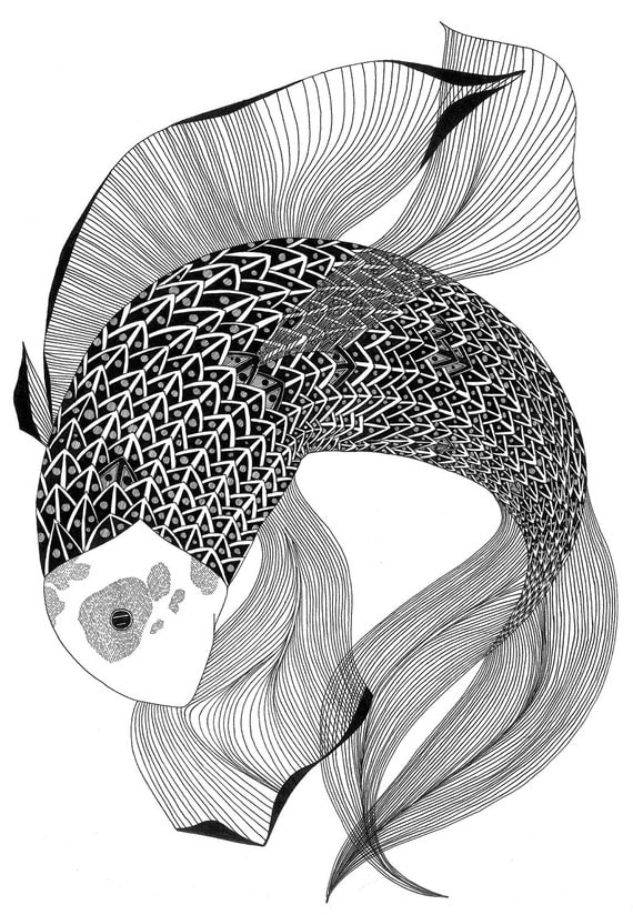 Fish drawing