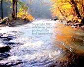 Sunrise in Nature  8x10  Home Decor Photograhpy