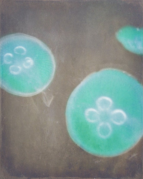 Jellyfish Art Print - Aqua Gray Abstract Circle Nursery Childrens Room Beach House Wall Art Home Decor Ocean Photograph - SevenElevenStudios