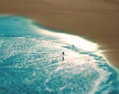 Beach Bird Art Print  - Tilt Shift -  Shoreline Blue Tan Sand Water Reflection Photograph