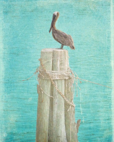 SALE Pelican Beach Art Print - Aqua Teal Brown Bird Beach House Decor Wall Photograph