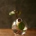 Shabby Chic Decor Lightbulb Vase Glass Vase Cottage Style - Minimalist Design
