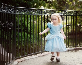 Cinderella Dress - Size 2T-12